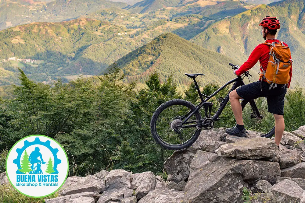 Socia Media Platform Branding from MySocial